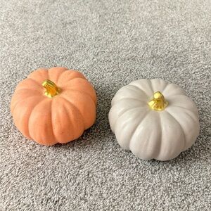 Decorative Ceramic Pumpkins - Orange & Cream with Gold Stems